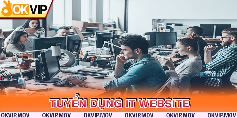 Tuyển dụng IT Web