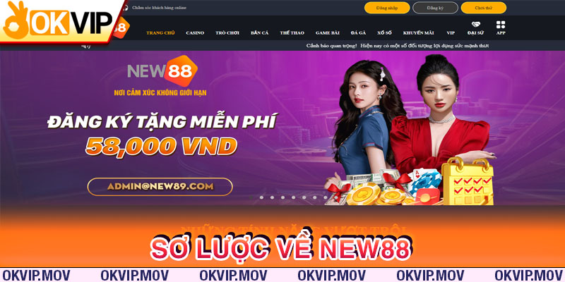 Điểm qua về trang web cá cược siêu hot New88