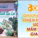 OKVIP và SHBET thiện nguyện ươm mầm xanh gia lai