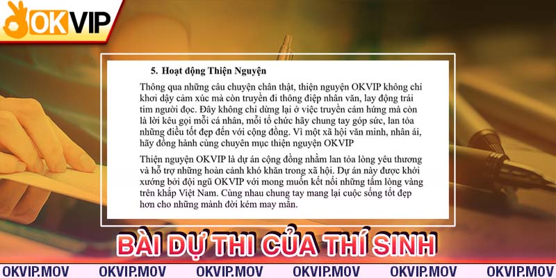 Đoạn trích từ bài dự thi của thí sinh