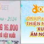 OKVIP và 789Bet thiện nguyện Xuân ấm no 2024