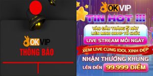 Xem OKVIP Live stream nhận thưởng khủng